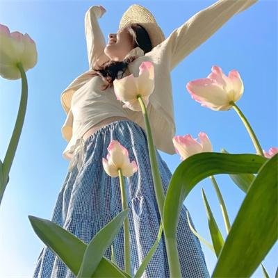乱世伤痕:末代总督的秘密